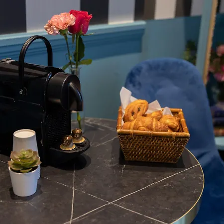 帕特里克·哈亚特剧院酒店 3* 巴黎